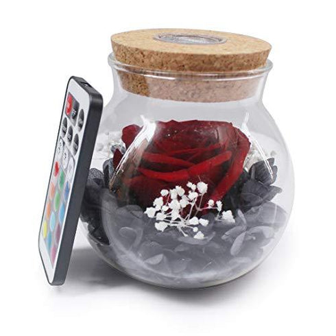 Real Rose in Glass